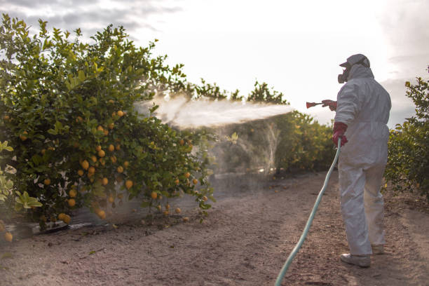 Pest Control for Warehouses in Leadington, MO